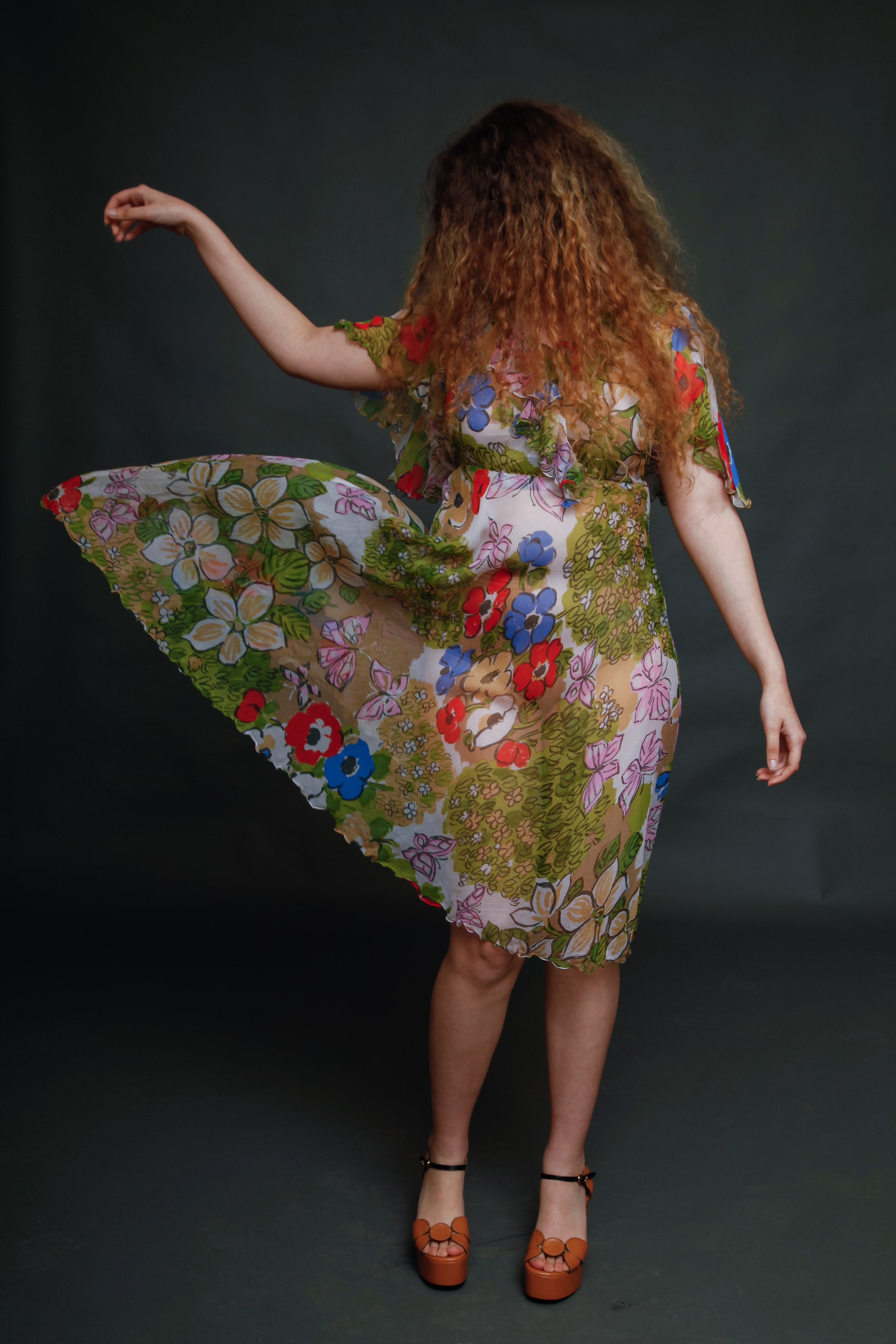 Vintage Silk Chiffon Butterfly Dress
