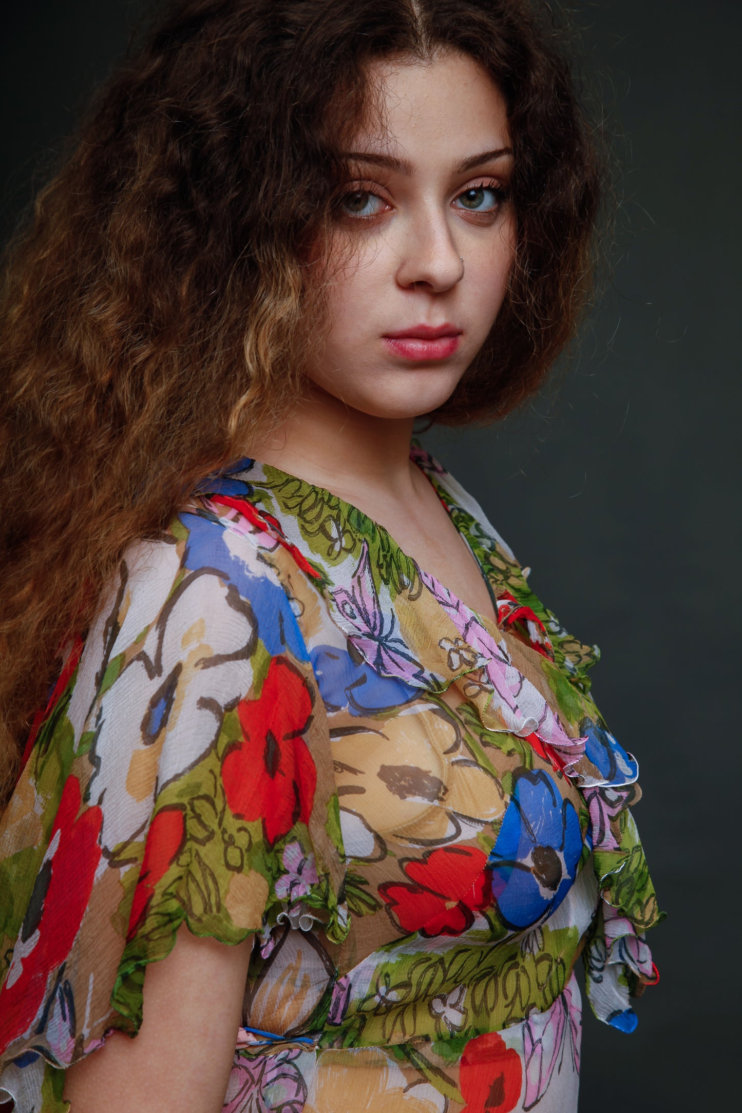 Vintage Silk Chiffon Butterfly Dress