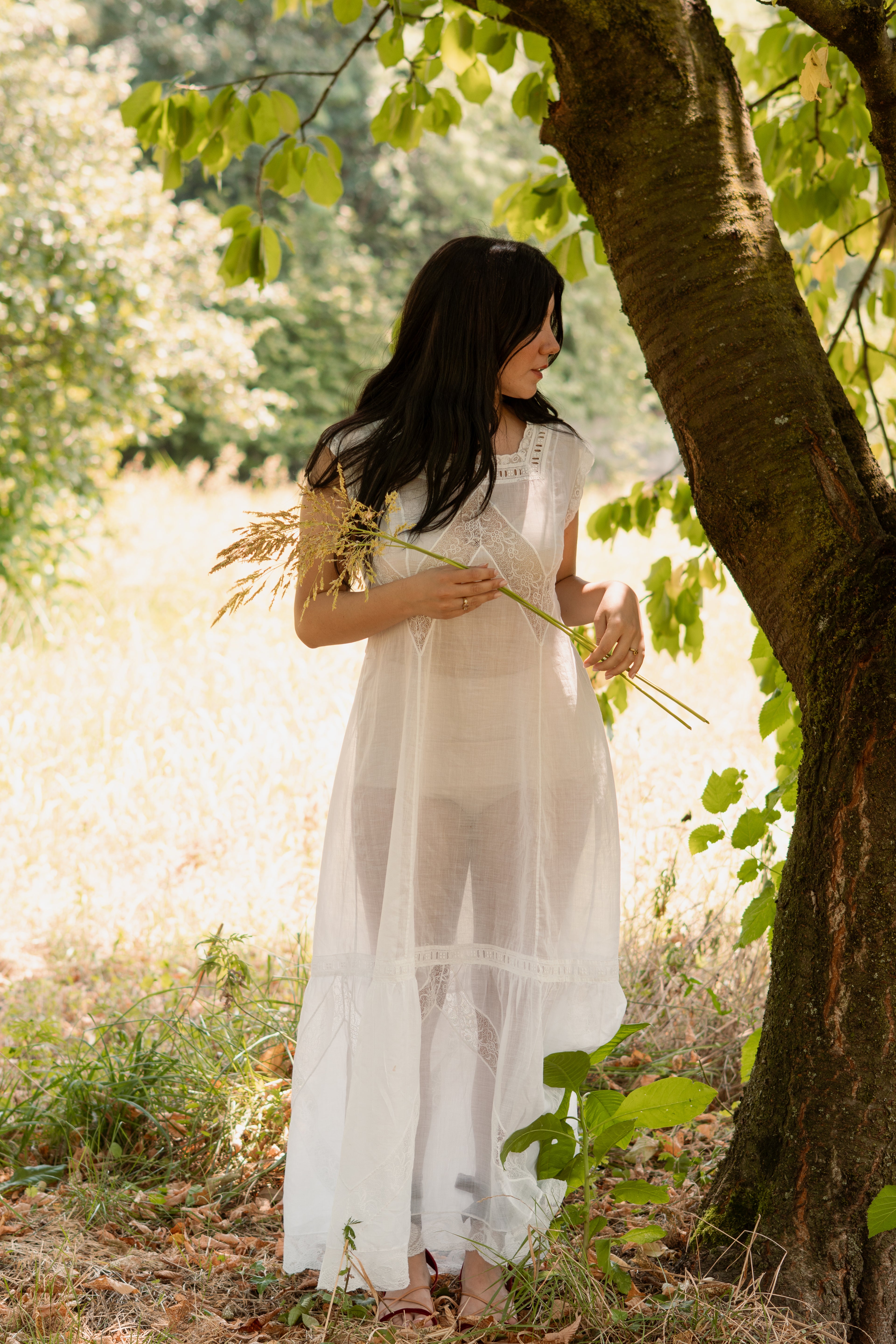 Antique Edwardian Cotton and Lace Slip Dress